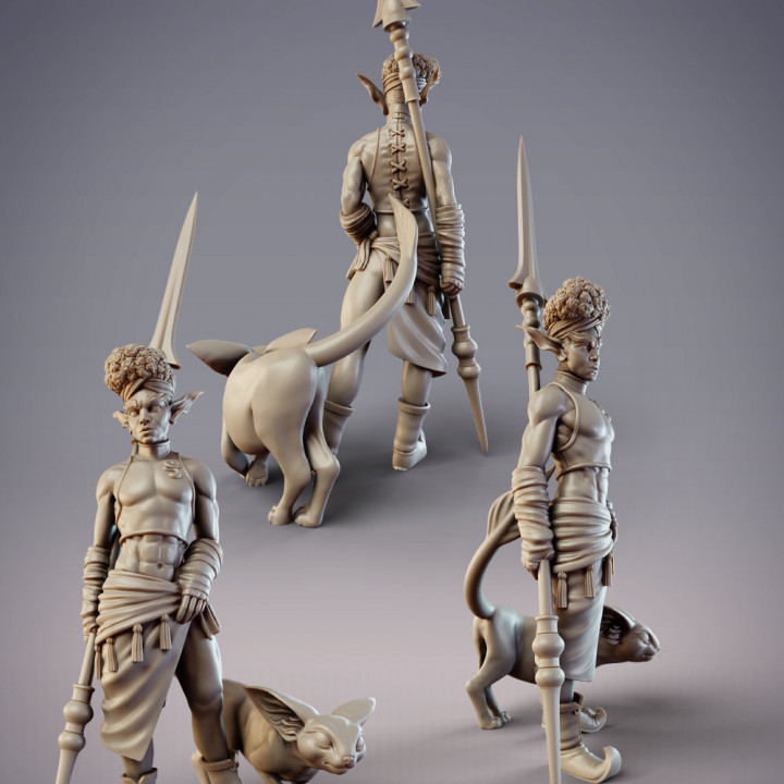 Zohaier, Mazigh Desert Elf Tracker and Hunting Cat (Pre-Supported) image