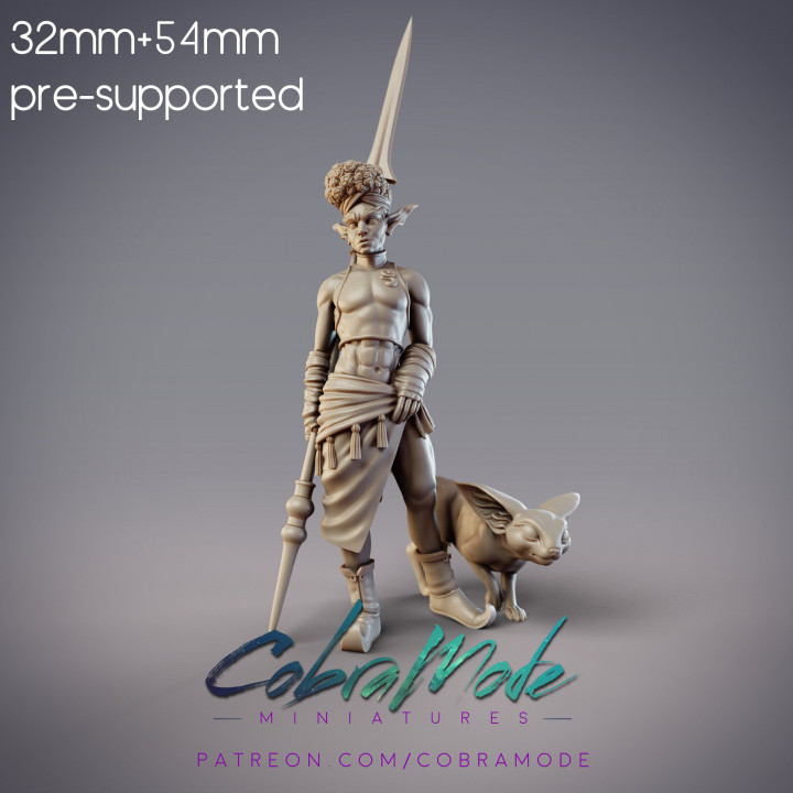 Zohaier, Mazigh Desert Elf Tracker and Hunting Cat (Pre-Supported) image