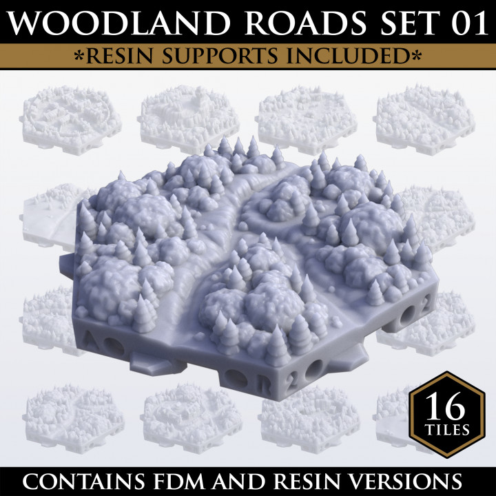 Hexton Hills Woodland Roads Set 01 image