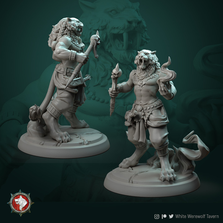 Tabaxi set 4 miniatures (2 warriors, mage, shaman) 32mm pre-supported image