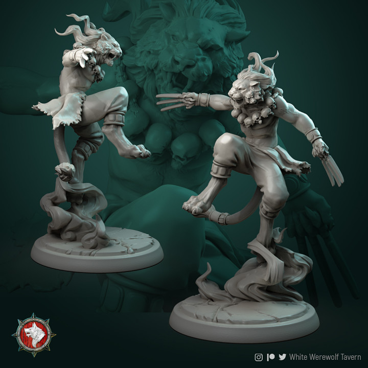 Tabaxi set 4 miniatures (2 warriors, mage, shaman) 32mm pre-supported image
