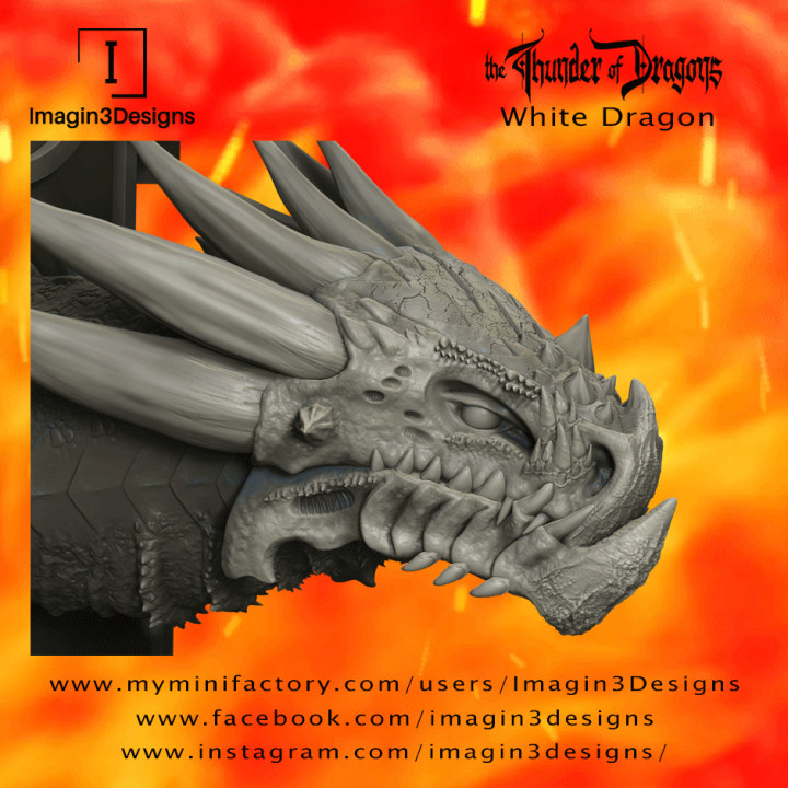 Fax'idel -The Outcast- The White Dragon image