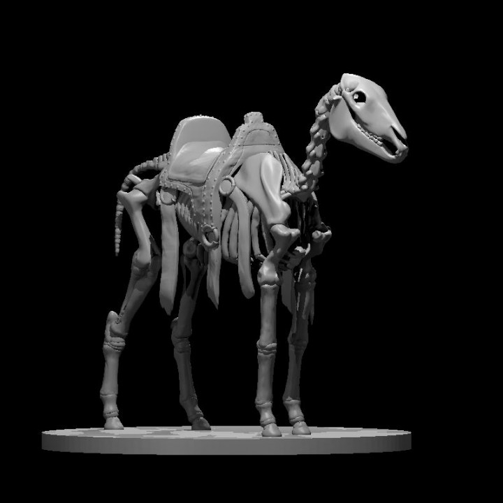 Skeleton Warhorse Updated image