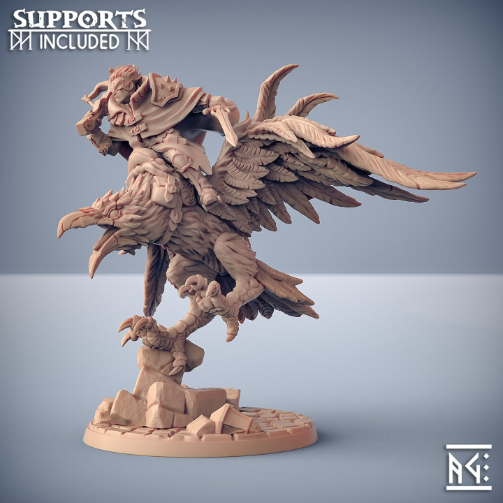 Aaron on Shadowclaws the Dire Raven (Hero and Mount) image