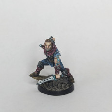 Picture of print of Thieves Guild Adept - Modular A