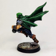 Picture of print of Thieves Guild Adept - Modular B