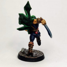 Picture of print of Thieves Guild Adept - Modular B