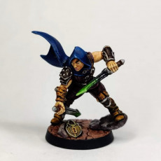 Picture of print of Thieves Guild Adept - Modular E