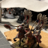Winged Hussars of Volhynia - Highlands Miniatures print image