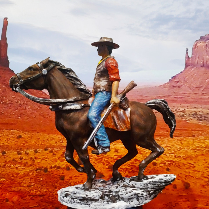 Cowboy on Horseback image
