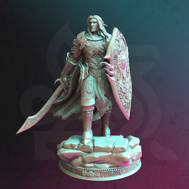 3D Printable Elven Paladin - Yinsylim by DM Stash