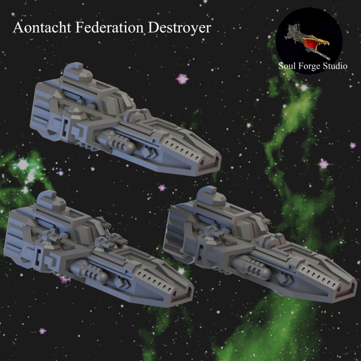 Aontacht Federation Escorts image