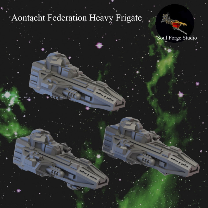 Aontacht Federation Escorts image