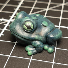 Picture of print of Tiny Frog