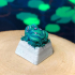 Tiny Frog print image