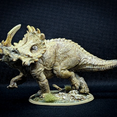 Picture of print of Sinoceratops Alpha