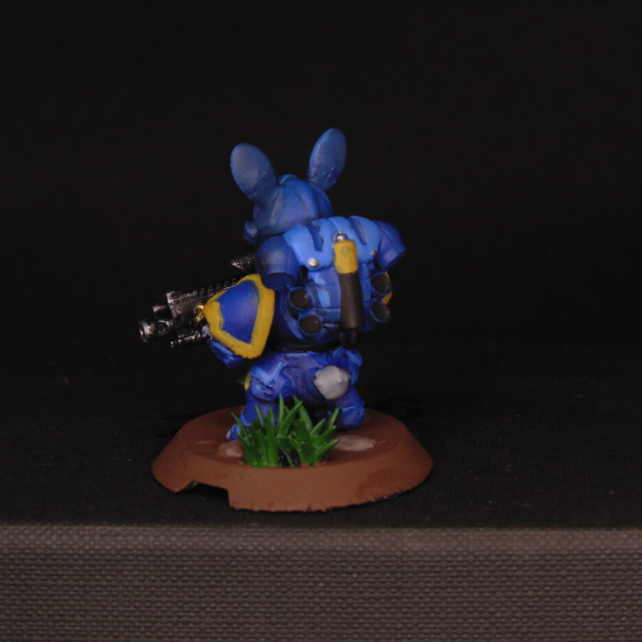 spacemarine-space marine-Marine Rabbit-warhammer40k image