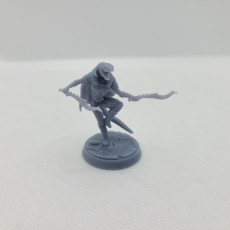 Picture of print of Aerialist Rogue (Snake Folk)
