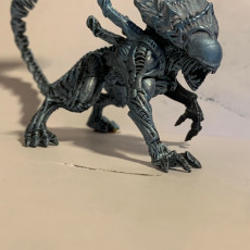 Picture of print of XENO BROOD RIPPER