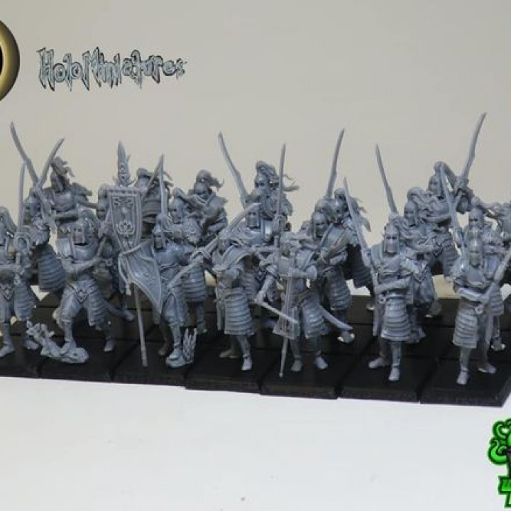 High elves Sword masters image