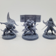 Picture of print of Assassins Set