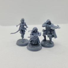 Picture of print of RPG - DnD Hero Characters - Titans of Adventure Set 15