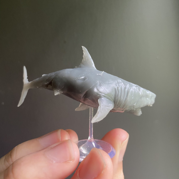 Great Wight Shark (Undead) - Tabletop Miniature image