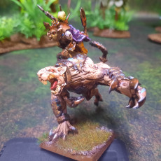 Infinite Legions - Warlord mounted on Armored Rat Brute