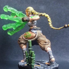 Picture of print of Karoku The Monk - Idle and Action Pose