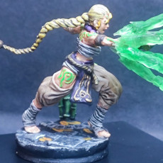 Picture of print of Karoku The Monk - Idle and Action Pose