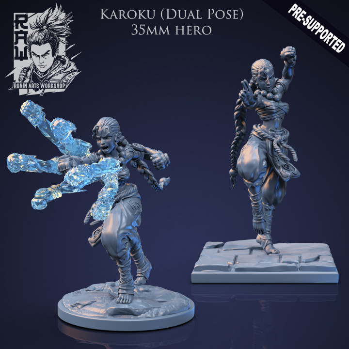 Karoku The Monk - Idle and Action Pose image