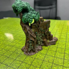 Picture of print of Dark Realms Jungle Ruins - Wall Ruins