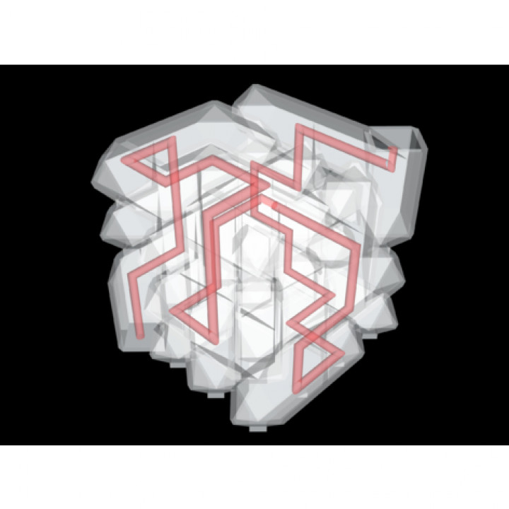 3D Mazes (0% Infill, No Support) image