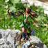 Lesika Light-eyed druid 75mm and 32mm pre-supported print image