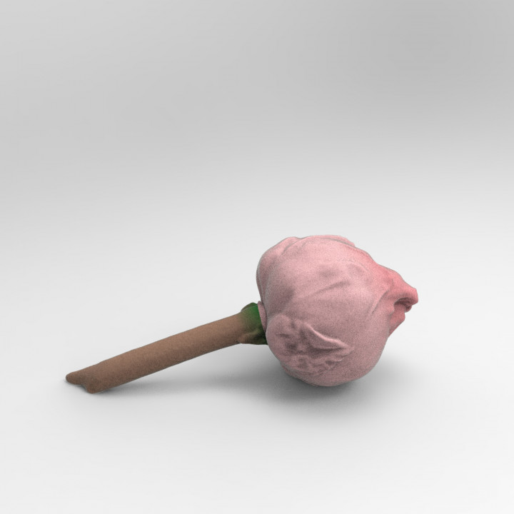 Lotus flower(generated by Revopoint POP)