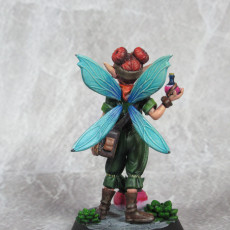 Picture of print of Tales of Grimmwood- Fairy Alchemist