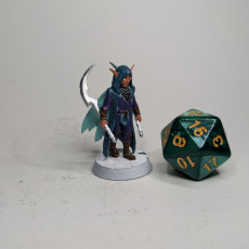Picture of print of Tales of Grimmwood- Fairy Assassin