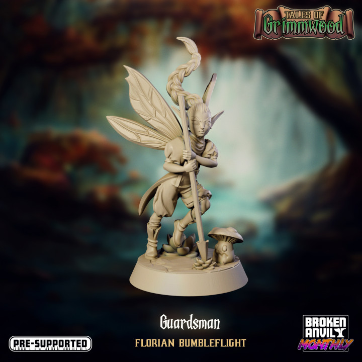 Tales of Grimmwood- Fairy Guardsman image