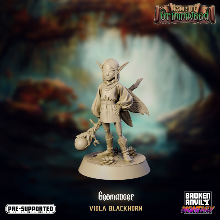 Tales of Grimmwood- Fairy Geomancer image