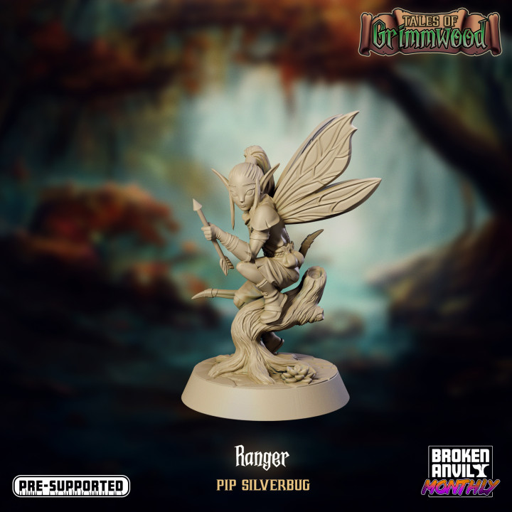 Tales of Grimmwood- Fairy Ranger image