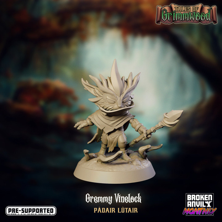 Tales of Grimmwood- Gremmy Vinelock image