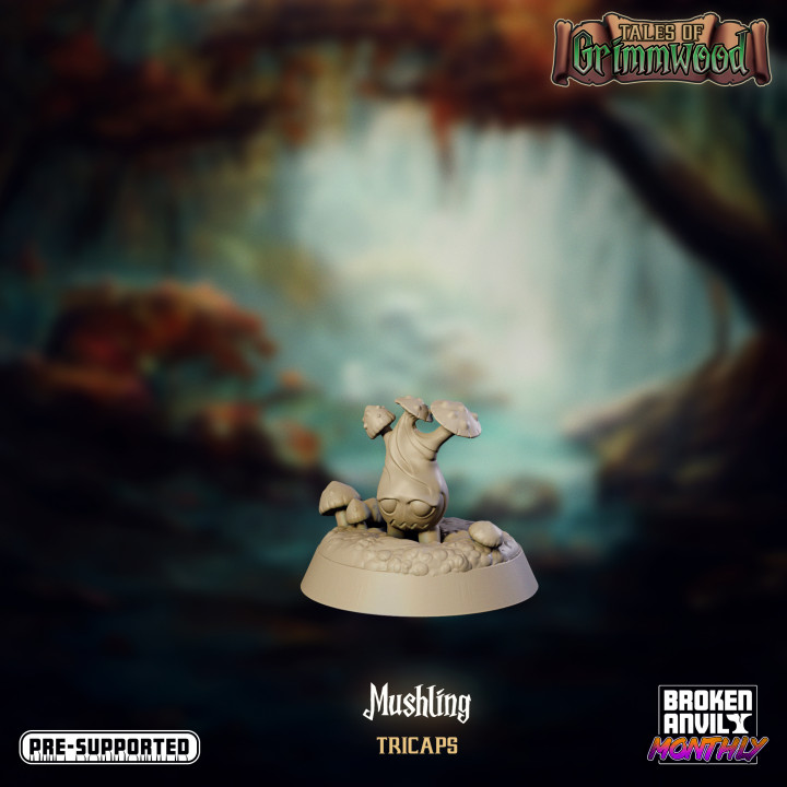 Tales of Grimmwood- Mushling Tricaps image