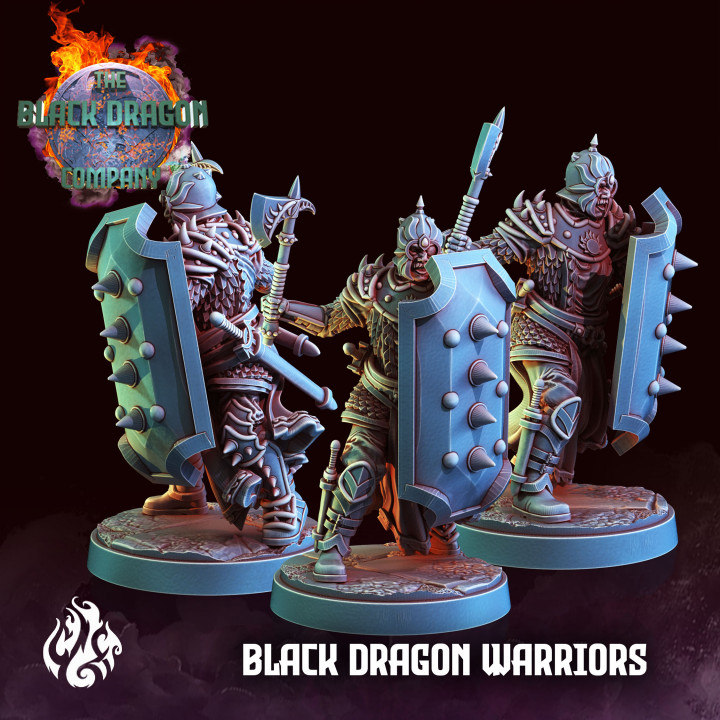 Black Dragon Warriors image