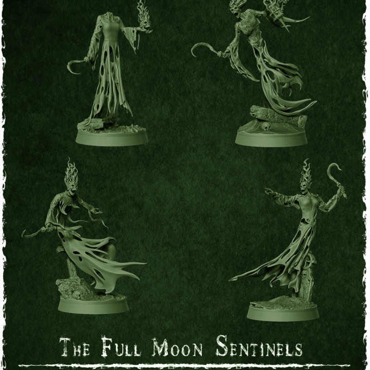 The Wraith King's Army - The Full Moon Sentinels's Cover