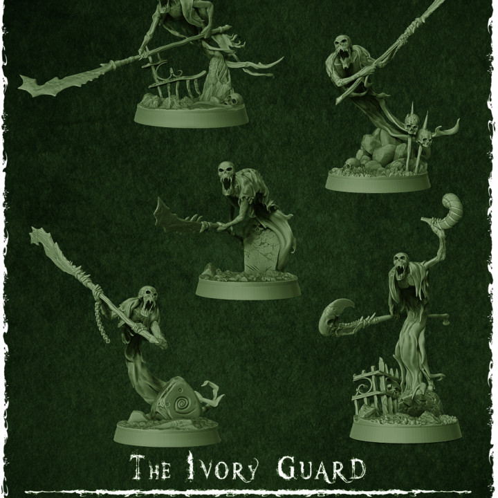 The Wraith King's Army - The Ivory Guard's Cover