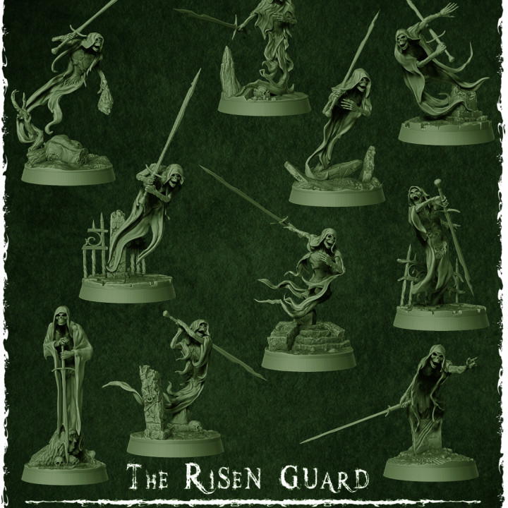 The Wraith King's Army - The Risen Guard's Cover