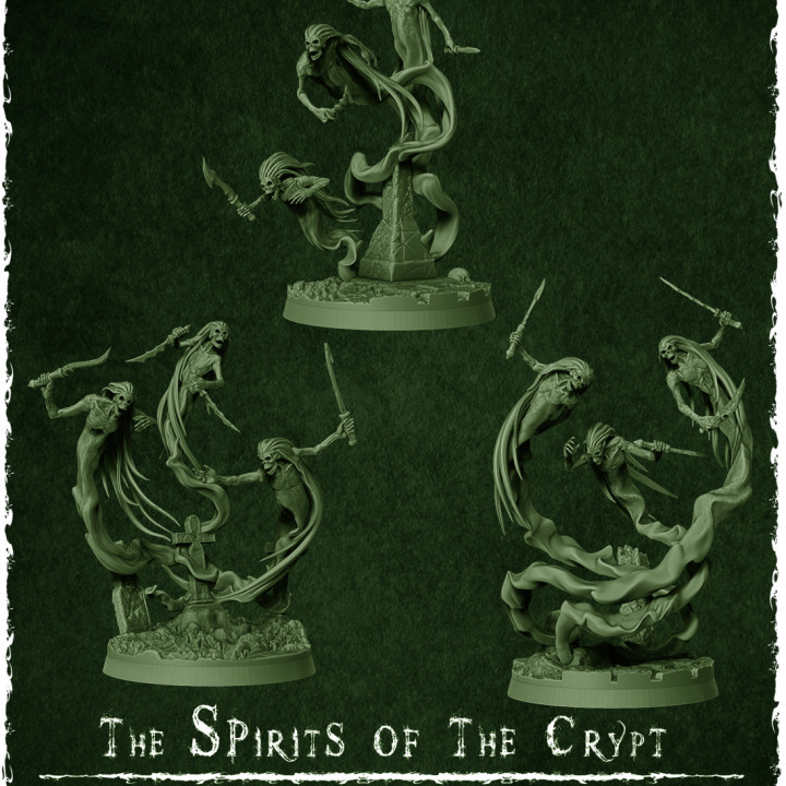 The Wraith King's Army - The Spirits of the Crypt's Cover