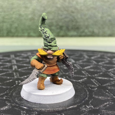 Picture of print of Gnome Assasin