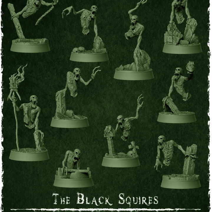 The Wraith King's Army - The Black Squires's Cover