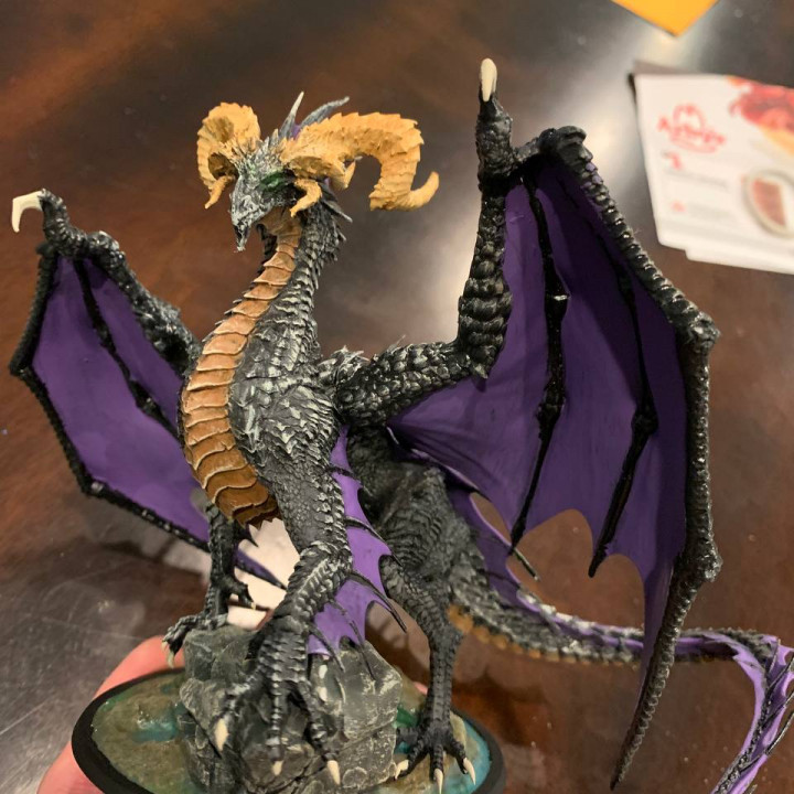 Exclusive BLACK DRAGON (Young, Adolescent, Adult, Elder) (7